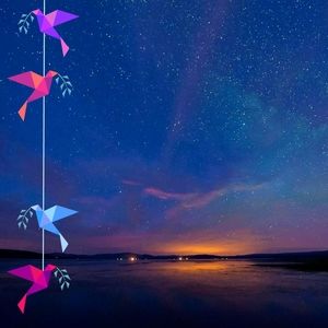 Meet your Posher, Artur